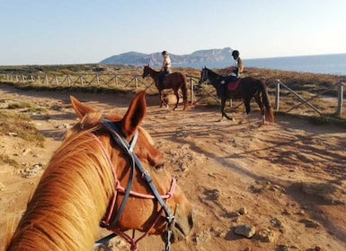 Alghero : Randonnée guidée à cheval au lac Baratz et à Porto Ferro