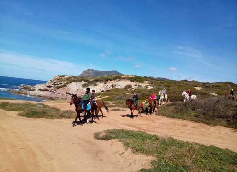 Picture 2 for Activity Alghero: Guided Horseback Ride at Lake Baratz & Porto Ferro