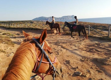 Alghero: Geführter Ausritt am Baratz-See & Porto Ferro