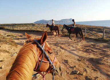 Alghero : Promenade guidée à cheval au lac Baratz et Porto Ferro