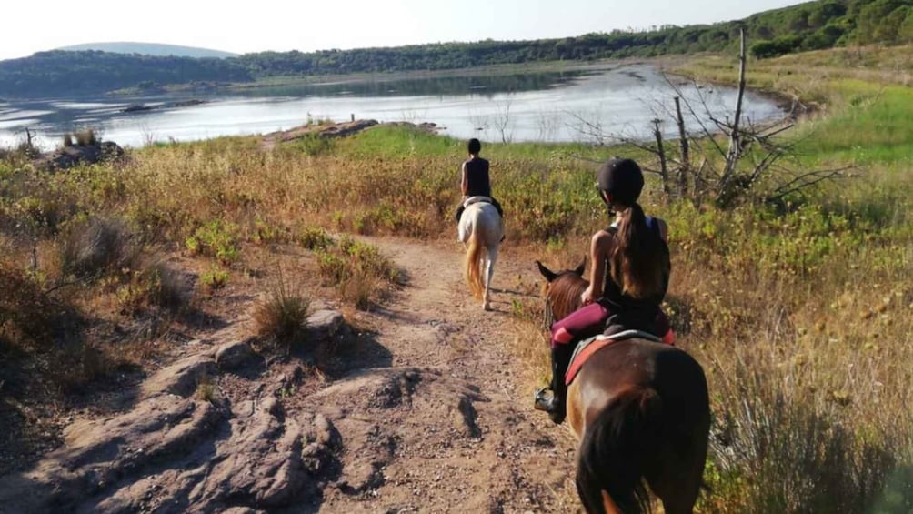 Picture 8 for Activity Alghero: Guided Horseback Ride at Lake Baratz & Porto Ferro