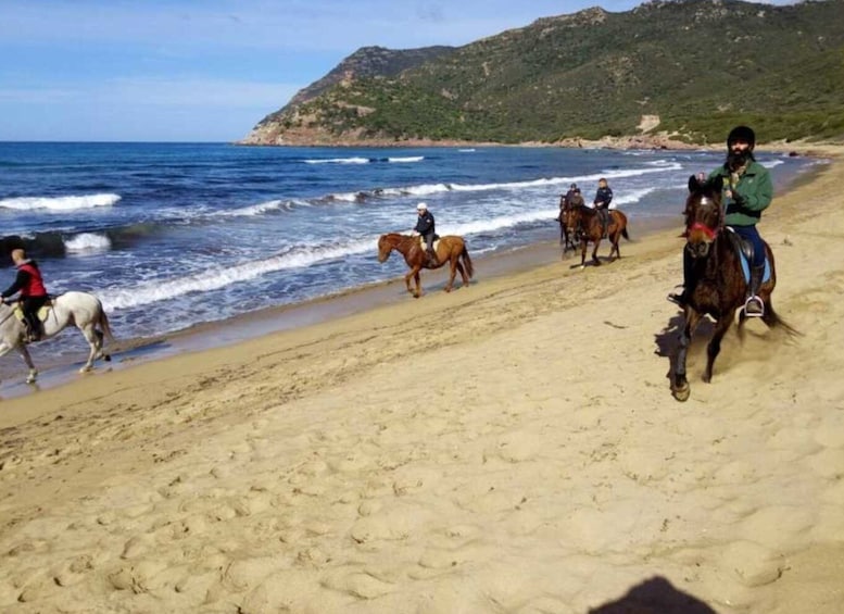 Picture 4 for Activity Alghero: Guided Horseback Ride at Lake Baratz & Porto Ferro