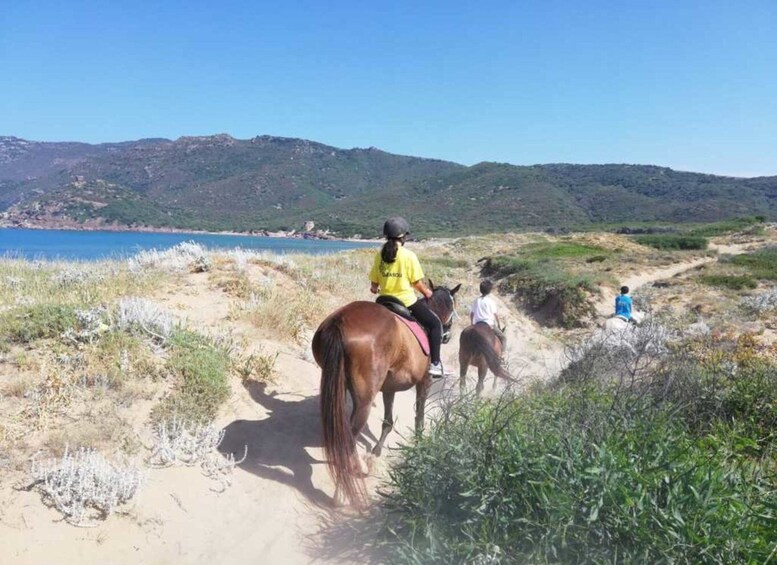 Picture 5 for Activity Alghero: Guided Horseback Ride at Lake Baratz & Porto Ferro