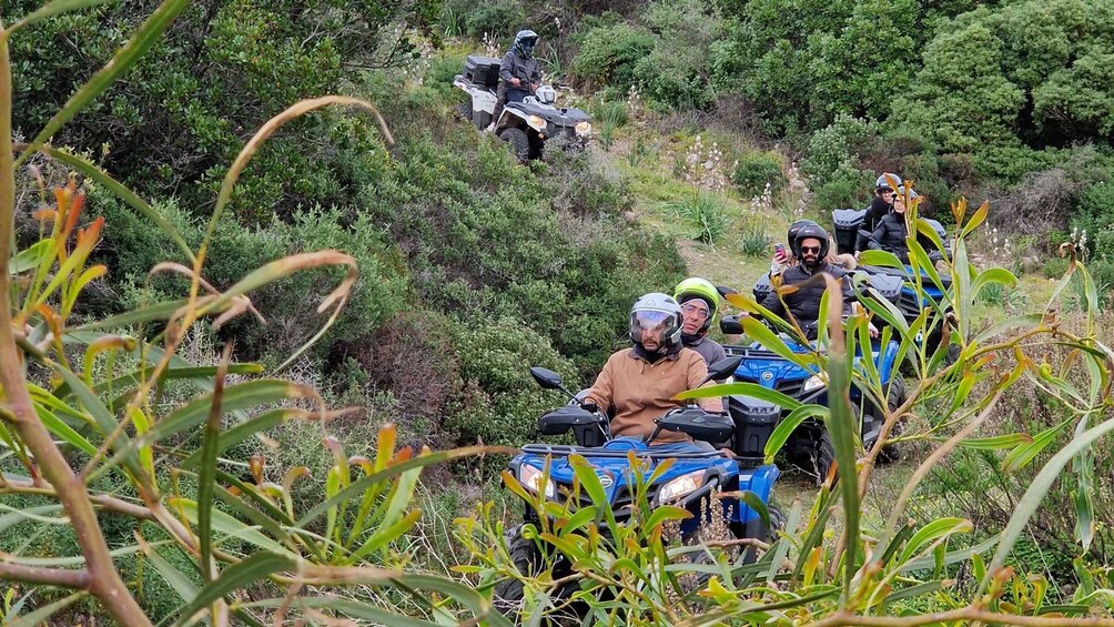 Picture 8 for Activity Bosa: Coast and Country Guided Quad Bike Tour