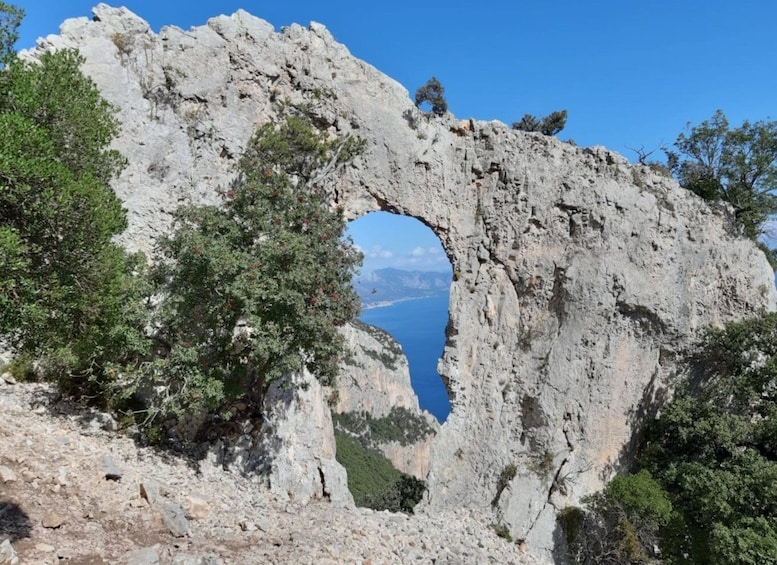 Picture 3 for Activity From Baunei: Cala Mariolu Hiking Tour