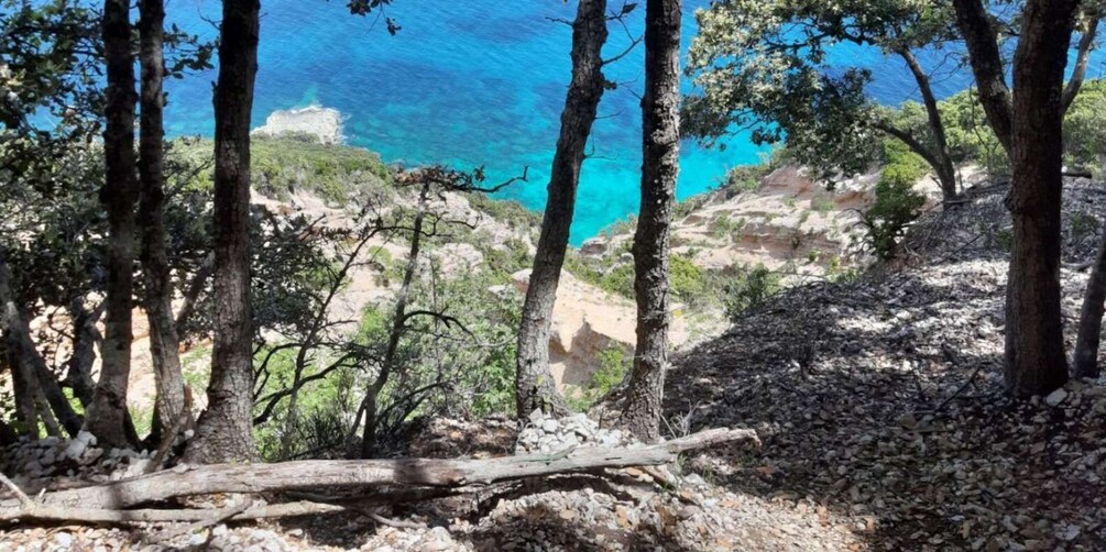 Picture 8 for Activity From Baunei: Cala Mariolu Hiking Tour