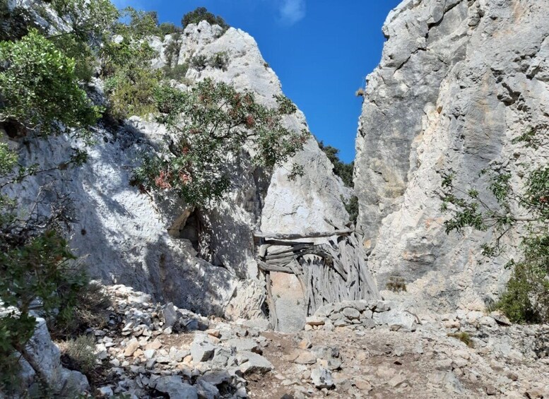 Picture 2 for Activity From Baunei: Cala Mariolu Hiking Tour