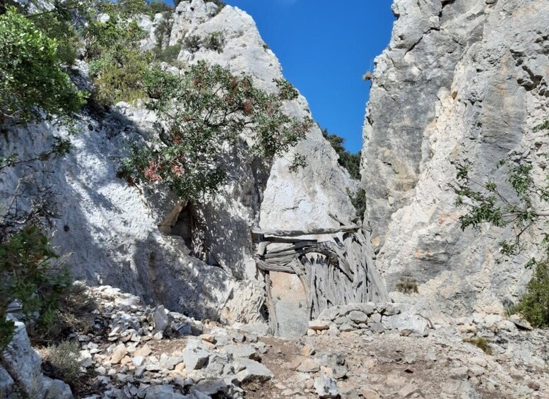 Picture 2 for Activity From Baunei: Cala Mariolu Hiking Tour