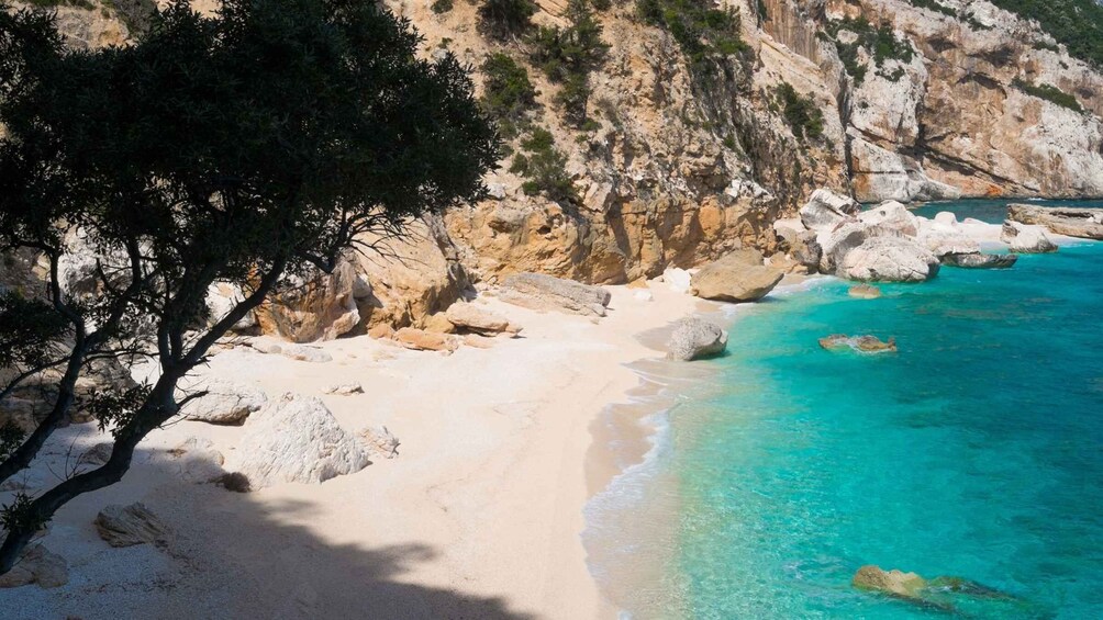 Picture 17 for Activity From Baunei: Cala Mariolu Hiking Tour