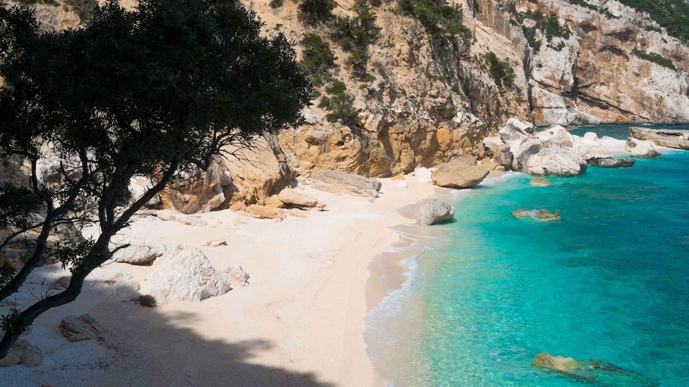 Picture 17 for Activity From Baunei: Cala Mariolu Hiking Tour