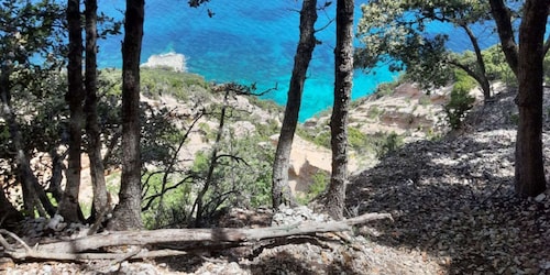 From Baunei: Cala Mariolu Hiking Tour