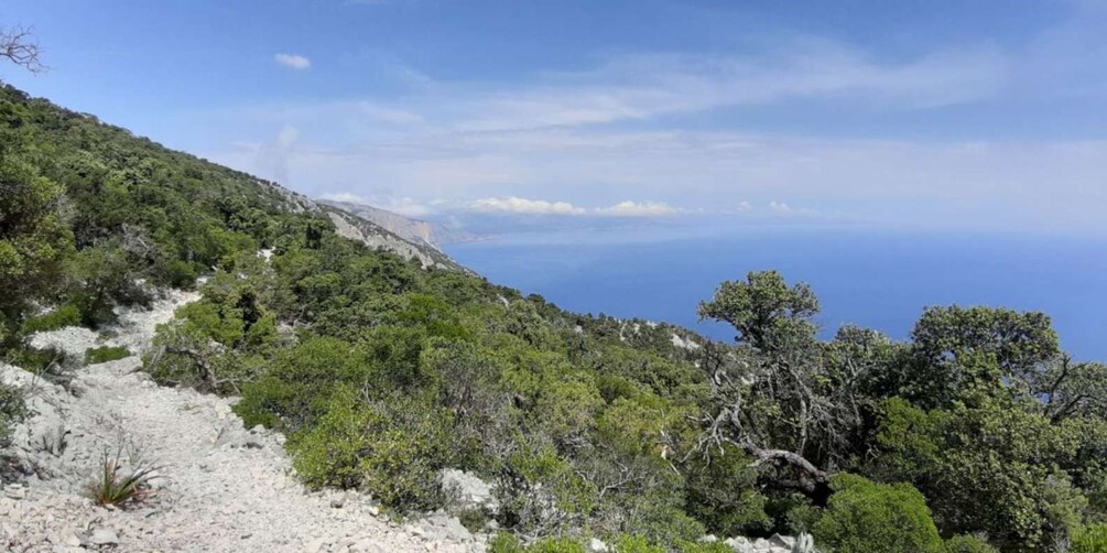 Picture 15 for Activity From Baunei: Cala Mariolu Hiking Tour