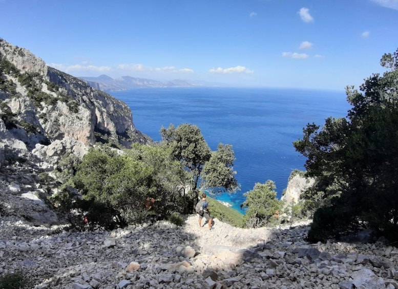 Picture 14 for Activity From Baunei: Cala Mariolu Hiking Tour