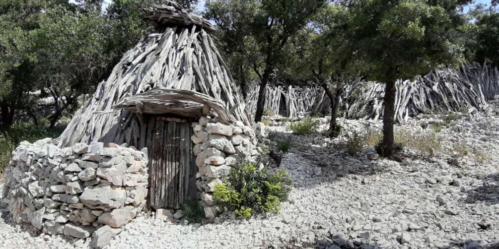 Picture 12 for Activity From Baunei: Cala Mariolu Hiking Tour