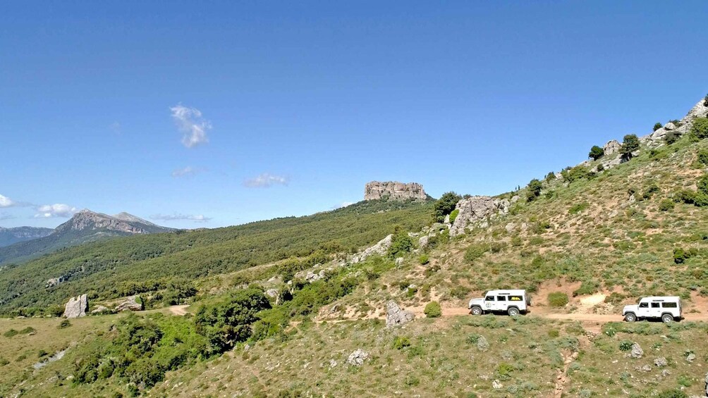 Picture 3 for Activity Orgosolo: 4x4 private tour in Supramonte w/ murals visit