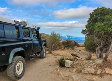 San Teodoro : Circuit en jeep et randonnée Rio Pitrisconi