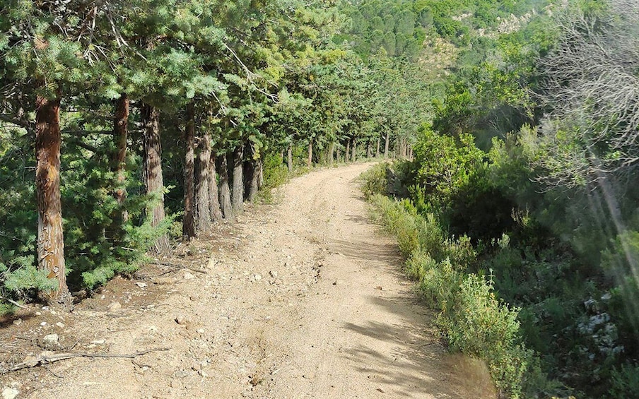 Picture 13 for Activity San Teodoro: Rio Pitrisconi Jeep and Hiking Tour