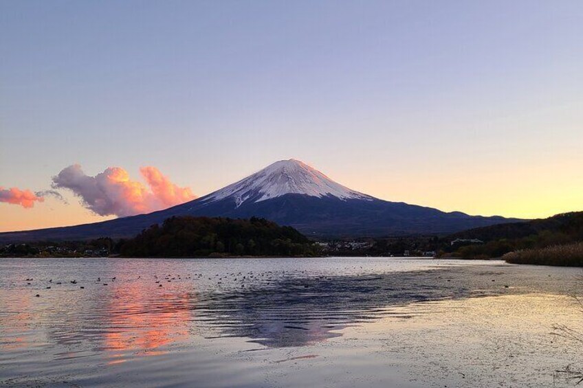 Private Mt Fuji Views Kawaguchiko Highlights Hidden Gems & Food