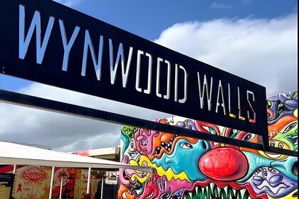 Explore in the Vibrant Art Scene of Wynwood Art Private Tour