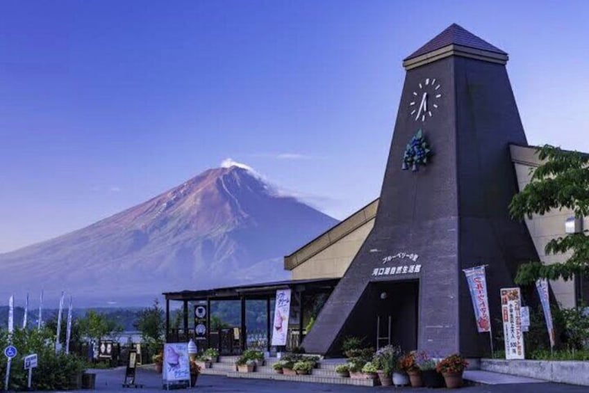 Mt Fuji Private Tour with English Speaking Driver