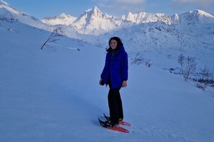 Arctische sneeuwschoenwandeling in Noorwegen