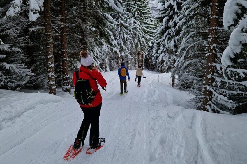 Arctic Snowshoe Hike in Norway