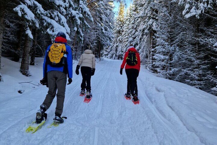 Arctic Snowshoe Hike in Norway