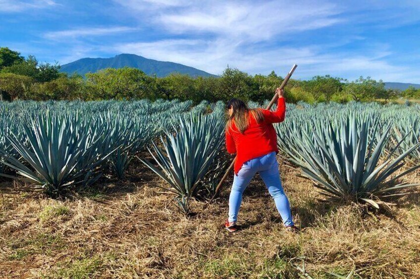 Tequila Full Experience!