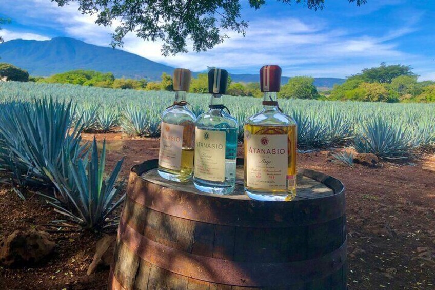Tequila Full Experience!