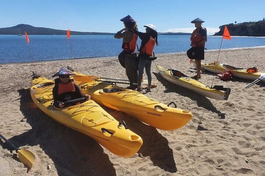 Browns Island Motukorea Sea Kayak Tour