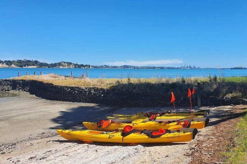 Browns Island Motukorea Sea Kayak Tour