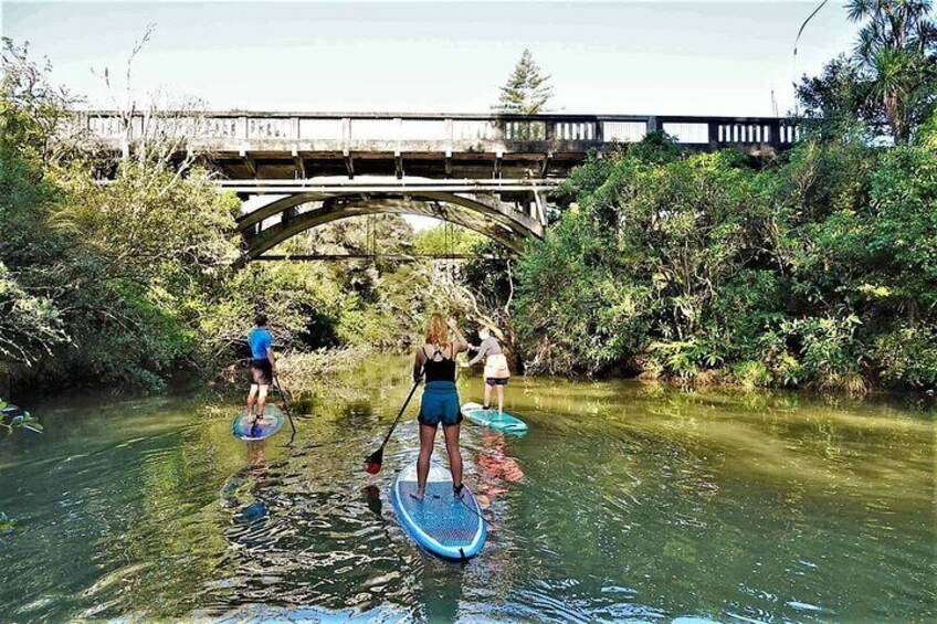 3-Hour Stand-Up Paddle Boarding Tour to Lucas Creek Waterfall