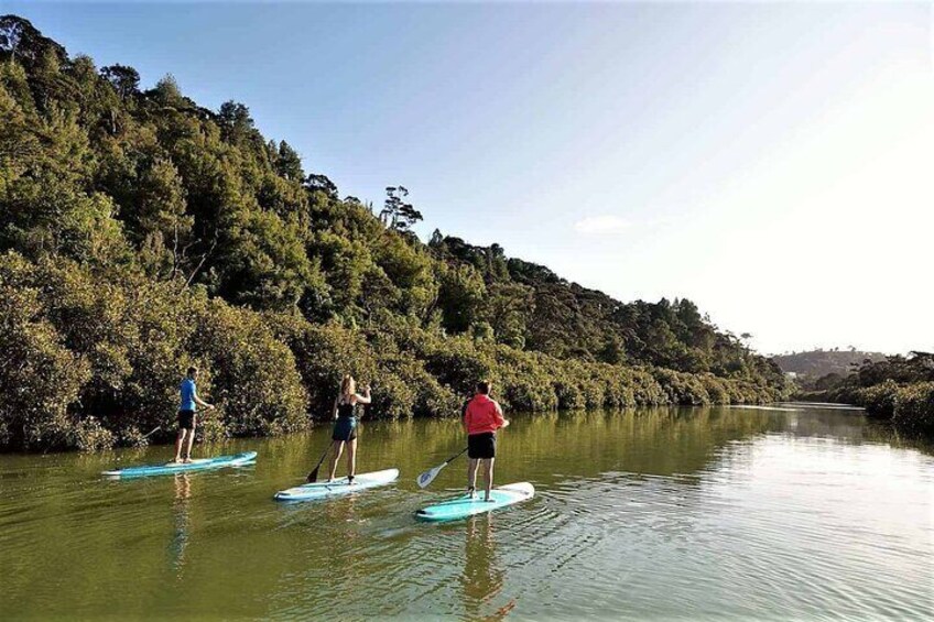 3-Hour Stand-Up Paddle Boarding Tour to Lucas Creek Waterfall