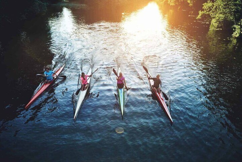 Sunrise Sea Kayaking Tour in Auckland