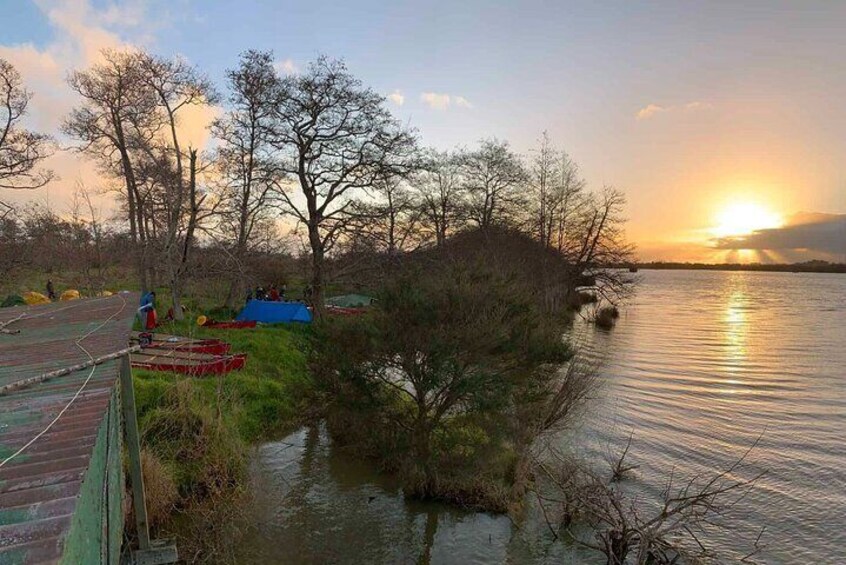 Sunrise Sea Kayaking Tour in Auckland