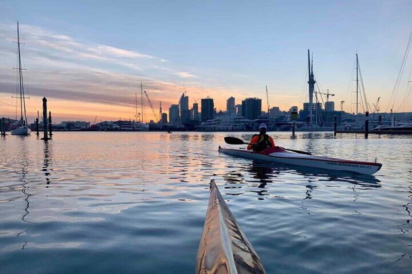 Sunrise Sea Kayaking Tour in Auckland