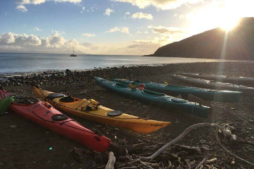 Sunrise Sea Kayaking Tour in Auckland