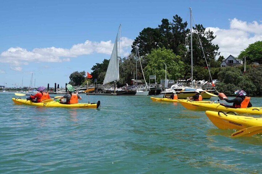 Guided Riverhead Tavern Kayak Tour in Auckland