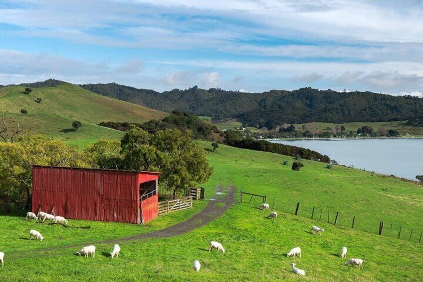 Duder Regional Park Half-Day Walking Tour