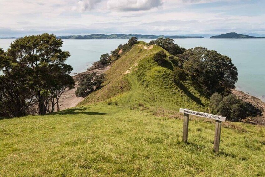 Duder Regional Park Half-Day Walking Tour