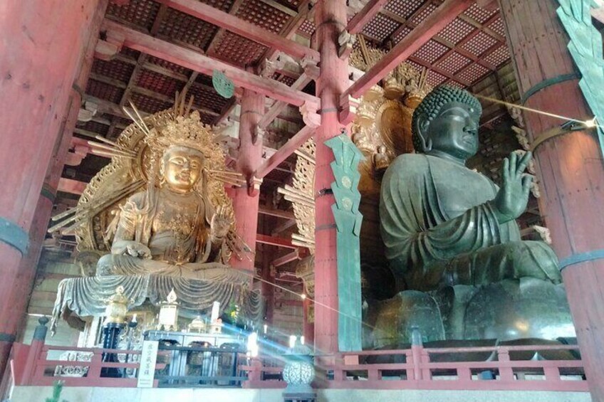 3 Day Japan Highlights Tour (Tokyo, Mt.Fuji, Nara, Osaka, Kyoto).