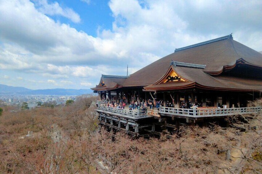 3 Day Japan Highlights Tour (Tokyo, Mt.Fuji, Nara, Osaka, Kyoto).