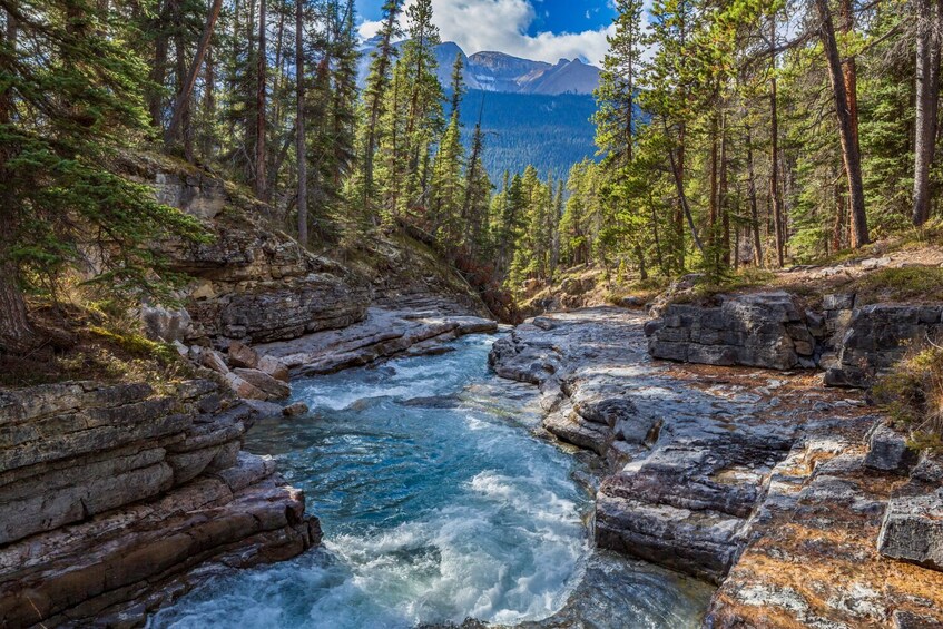 Icefields Parkway Self-Guided Driving Audio Tour