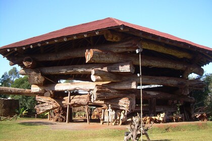 Puerto Iguazu City Tour