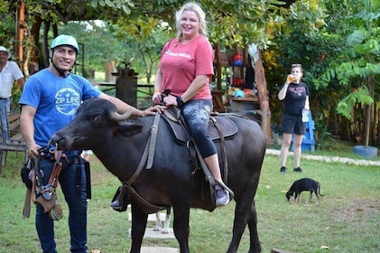 Amazing Horseback Riding in the tropical forest