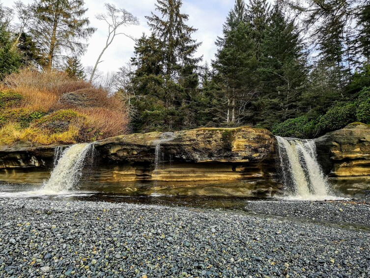 Discover Sooke To Port Renfrew