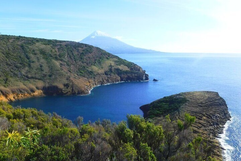 Private Full Day Tour - Faial Island (up to 8 people)