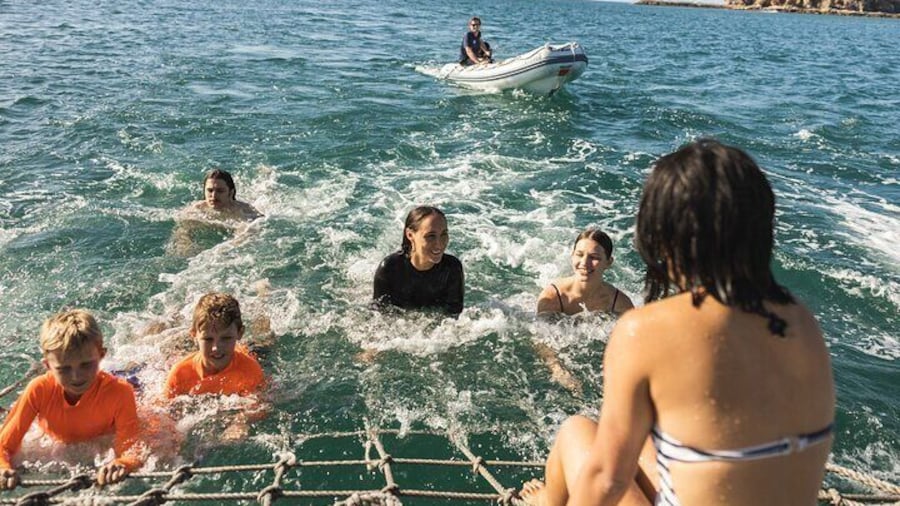 Ride the waves and feel the thrill with Boomnetting adventure!