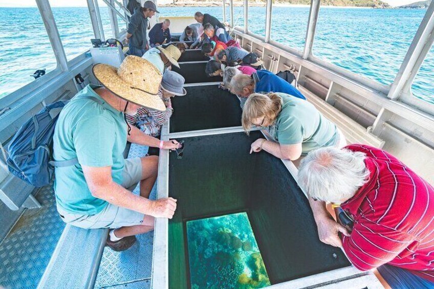 Discover the secrets of the deep from the comfort of the Glass Bottom Boat.