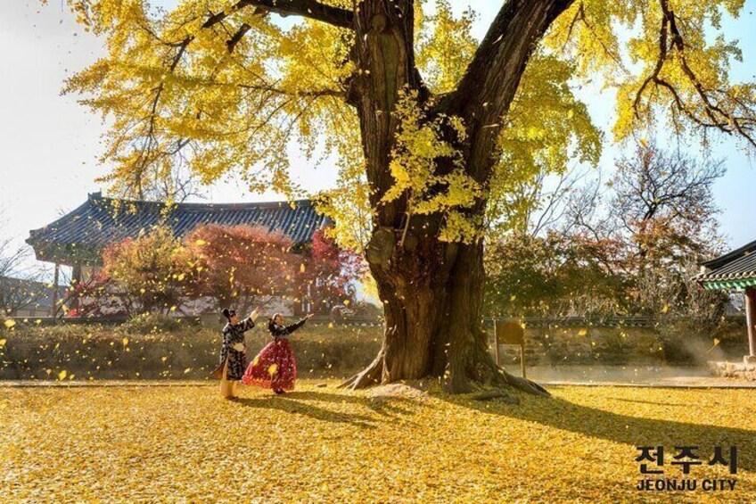 View of Hanok Village in Autumn